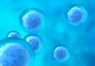 Understanding Stem Cells, One Cell at a Time